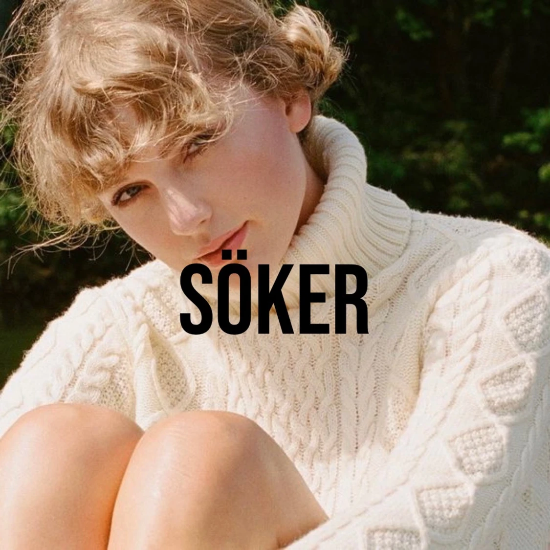 taylor swift merch sökes