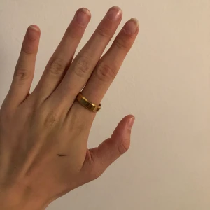 Guldig ring - Guldig ring! Aldrig använd. Frakt tillkommer på 13kr.
