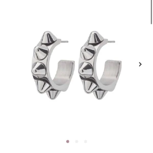 Edblad örhängen med nitar - Så gott som nya! Nypris 349 jag säljer för 220💗