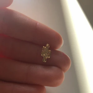 Örhängen  - Kaktus örhängen🌵fint skick!✨skriv privat för frakt!❤️