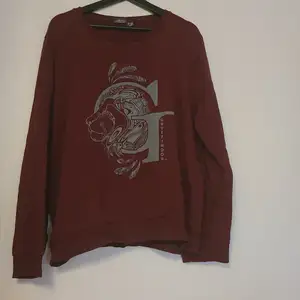 Gryffindor sweatshirt. Använd ett fåtal gånger. Köpt på Primark i London.