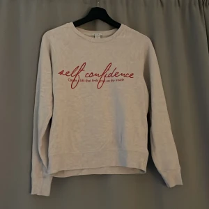 Sweatshirt - Pris  diskuteras vid snabb affär! 