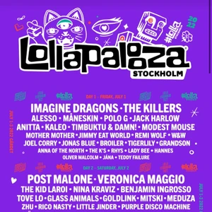 Lollapalooza 3-day pass - Kommer tyvärr inte kunna gå på Lollapalooza i år så jag säljer min 3 dagars biljett. Köpte biljetten för 2495kr och säljer för 2295kr!