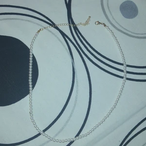 Halsband - Ett nytt halsband (8krst)