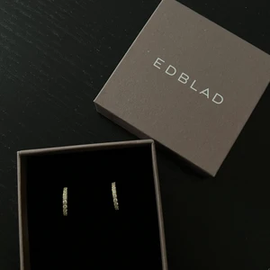 Örhängen från Edblad - Aldrig använda och i originalförpackning!  Guldiga små ringar till öronen! 