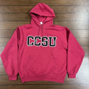 Champion CCSU Hoodie - Snygg vintage Hoodie i storlek L!  Bara att skriva om du undrar något🙏