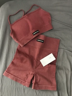 Träningsset - Ett Träningsset i färgen ’mauve’ (1a bilden visar färgen bäst) ifrån Novasport. Nyskick med prislapp kvar! Tveka inte att meddela mig vid eventuella frågor och funderingar! Jag har 3för2 på allt på min plick så gå gärna in o kika där☺️