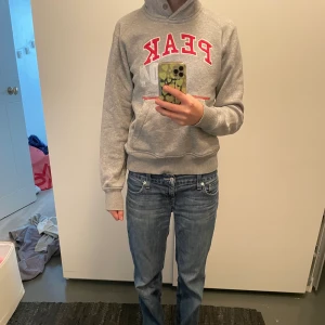 Hoodie - Fin hoodie ifrån peak performance i jättebra kvalite. Ser så gott som ny ut. I en gammal model. Storlek M men skulle säga att det är S.