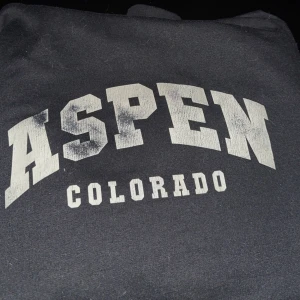 Hoodie - Använd hoodie köpt från plt, skön kvalite.