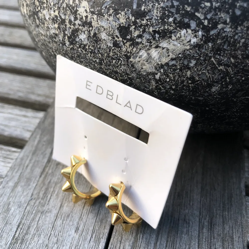 Säljer mina superfina Edblad örhängen ❤️⚡️ de är sparsamt använda  (3 gånger) ❤️⚡️💞skriv för fler bilder❤️pris kan diskuteras ❤️. Accessoarer.