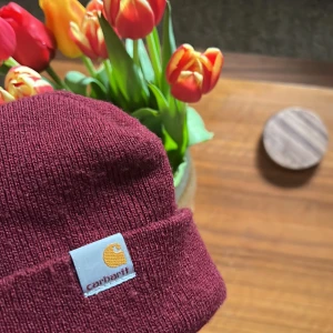 Carhartt mössa - Carharttmössa  Vinröd  Kortare modell