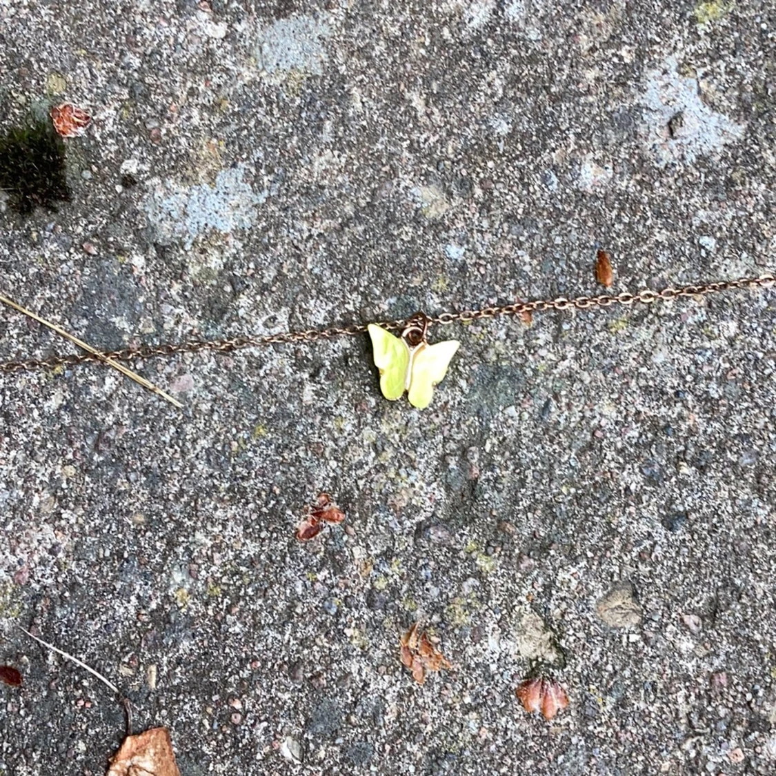 Halsband fjäril - 91