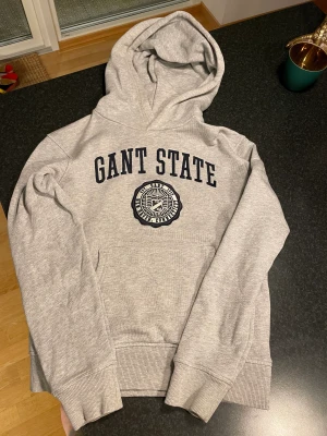 Gant tröja  - Superfin GANT tröja men det finns ett jättelitet hål vid fickan fram Kommer från ett djur och rökfritt hem Finns i Rängs sand, Höllviken 