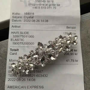 Hårsmycke/ hårklämma - .