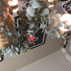 Flamingo🫶🏻😍 - Så gullig och fin🫶🏻😍