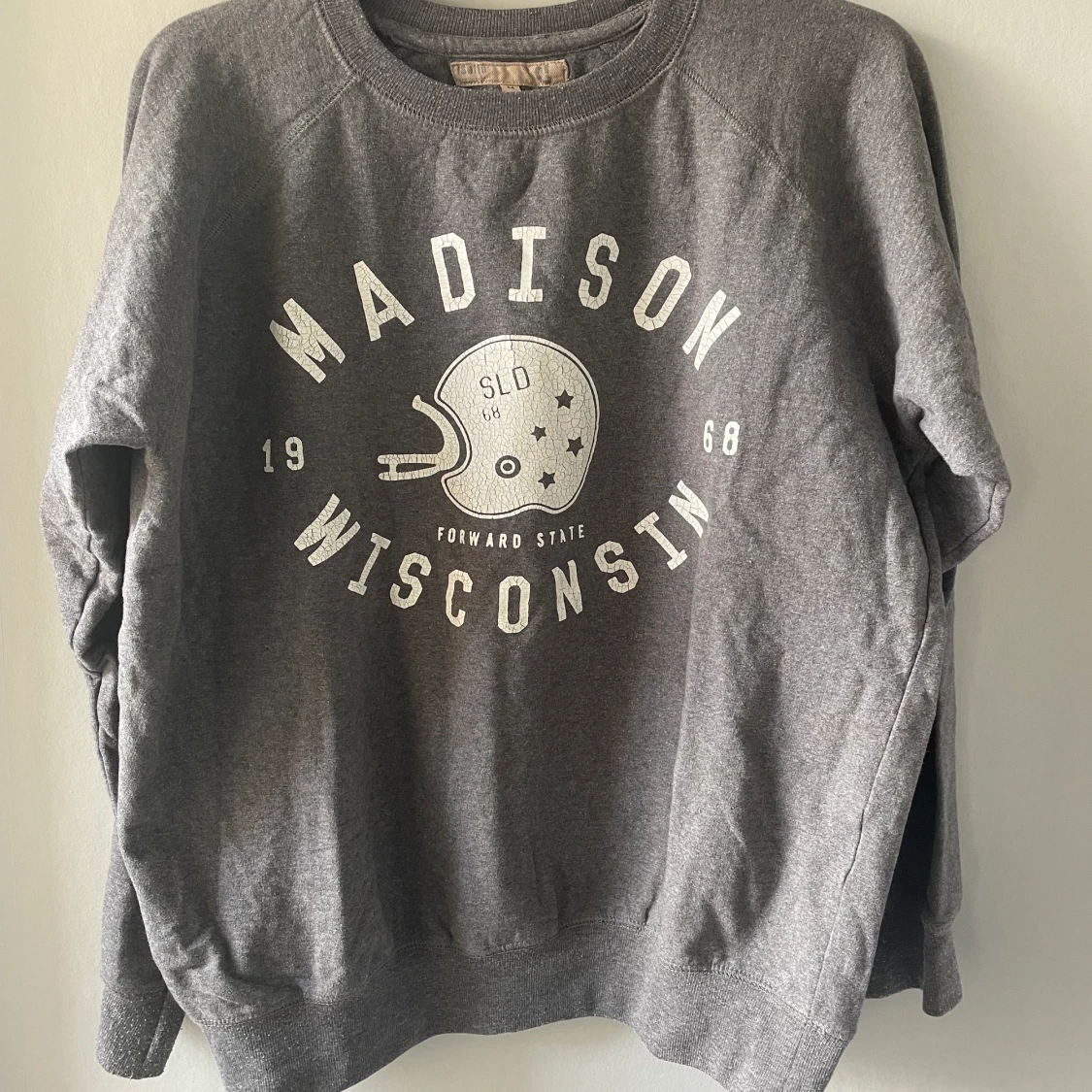 Går college sweatshirt  