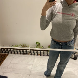 Grå Champion huddie  - En grå huddie från Champion i storlek Xs. 💓