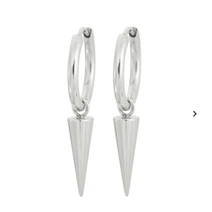 Edblad örhängen  - Populära Edblad örhängen, köpte för inte alls längesen och knappast använda (max 5 gånger).  Köptes för 350kr, kan skicka egna bilder 