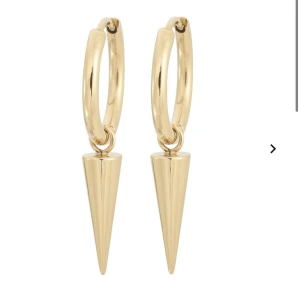 Edblads örhängen  - Guldiga nitar från Edblad⚡️ Använda ca 2-3 gnr men så gott som nya, nypris 349kr! (lånade bilder, vill du ha mer bilder är det bara att kontakta mig privat) Skriv gärna till mig innan du använder köp nu