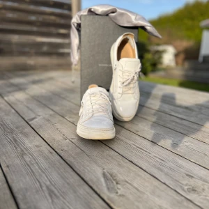 Guiseppe zanotti skor - Tjena! Säljer nu mina guiseppe zanotti skor i färgen vit. Storlek 43 EU passar 43-44. Skick 7,5/10. Pris 1799kr. Allt OG följs med. Pris ej hugget i sten! 