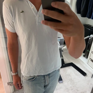 Lacoste pike - Lacoste pike. Använd och tvättad en hel del. Strlk 40 passar M. 