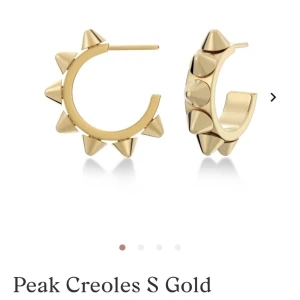 Edblad Örhängen  - Säljer dessa helt nya örhängen som jag fick i julklapp, helt o använda enbart testade 🫶🏼  Storlek medium, pris kan diskuteras. Ny pris 400 