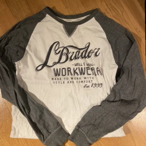 Grå och vit tröja med tryck - En jättefin grå och vit långärmad tröja med tryck på framsidan❤️ Typ aldrig använd. Kontakta för fler bilder!