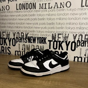 Air Jordan 1 low Pandas - Ett par Nike air Jordan 1 low panda i storlek 43 (Dam modell). Jag är kille och har storlek 42. Därav har jag köpt ett par pandas i storlek 43 i dam modell. 