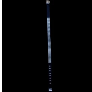 Nitt bälte  - Nitt bälte 