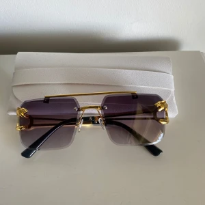 Trendiga Tiger solglasögon - Trendiga solglasögon med tiger emblem på Kommer med box och dustskydd 