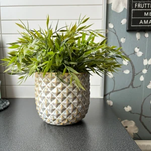 Kruka & växt  - Kruka & växt. 