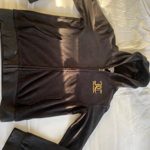 Juicy Couture tröja - En Juicy tröja, nästan aldrig använd! I väldigt bra skick. Skriv ifall ni har frågor. KÖPAREN står för frakten. Kan mötas upp i Stockholm/norra Stockholm. 
