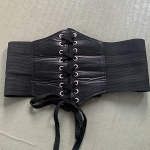 Simple corset - Elastic, one size corset. Worn about 3-5 times.