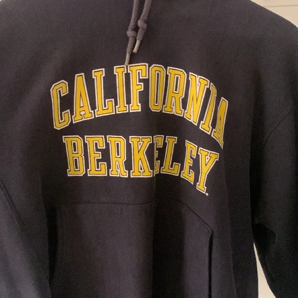 Vintage champion hoddie  - 91