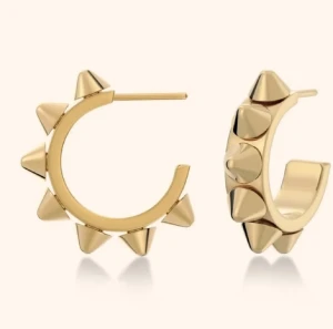 Peak örhängen Edblad - Säljer dessa sparsamt andvända örhängen ifrån Edblad pga att de inte är min stil länge. Inget synligt slitage och i mycket bra skick. Hör av er vid frågor.