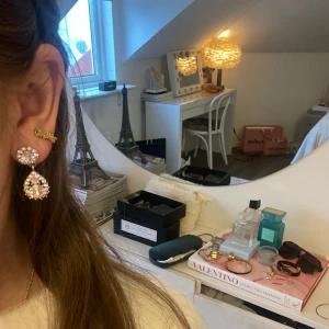 Örhängen - Super vackra lång rose örhängen 🤩 knappt använda ! Nypris 549:-