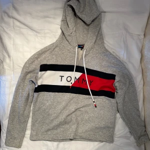 Grå Tommy hoodie - Tommy Hilfiger hoodie, S