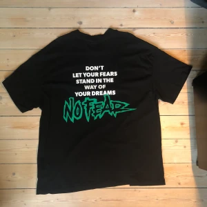 t-shirt - inte andvänts så mycket, Storleken står inte men det är antagligen XL / L