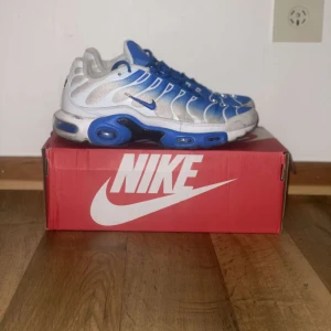 TNZ  - Är i bra form haft de i 3-4 månader tänkte köpa ett par andra skor 