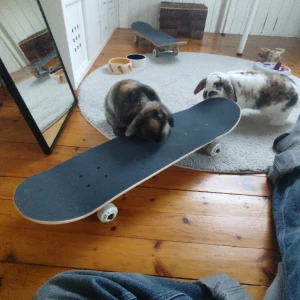 svincool skateboard  - ascool bräda. Väldigt ny, har knappt använt så den är inte så sliten. Öppen för prisförslag. kanin approved✅