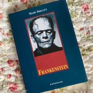 Bok/book Frankenstein Mary Shelley - Nyskick, på engelska, fint omslag :)