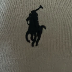 Raulp lauren tröja - Använd typ 2 gånger  Storlek S