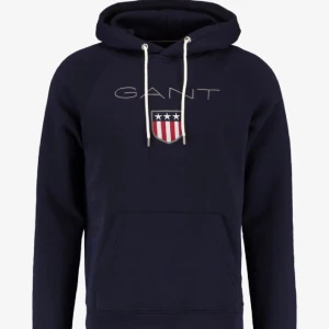 Hoodie - Säljer en gant hoodie som på bilden, knappt använd och i väldigt fint skick (bilden är lånad)