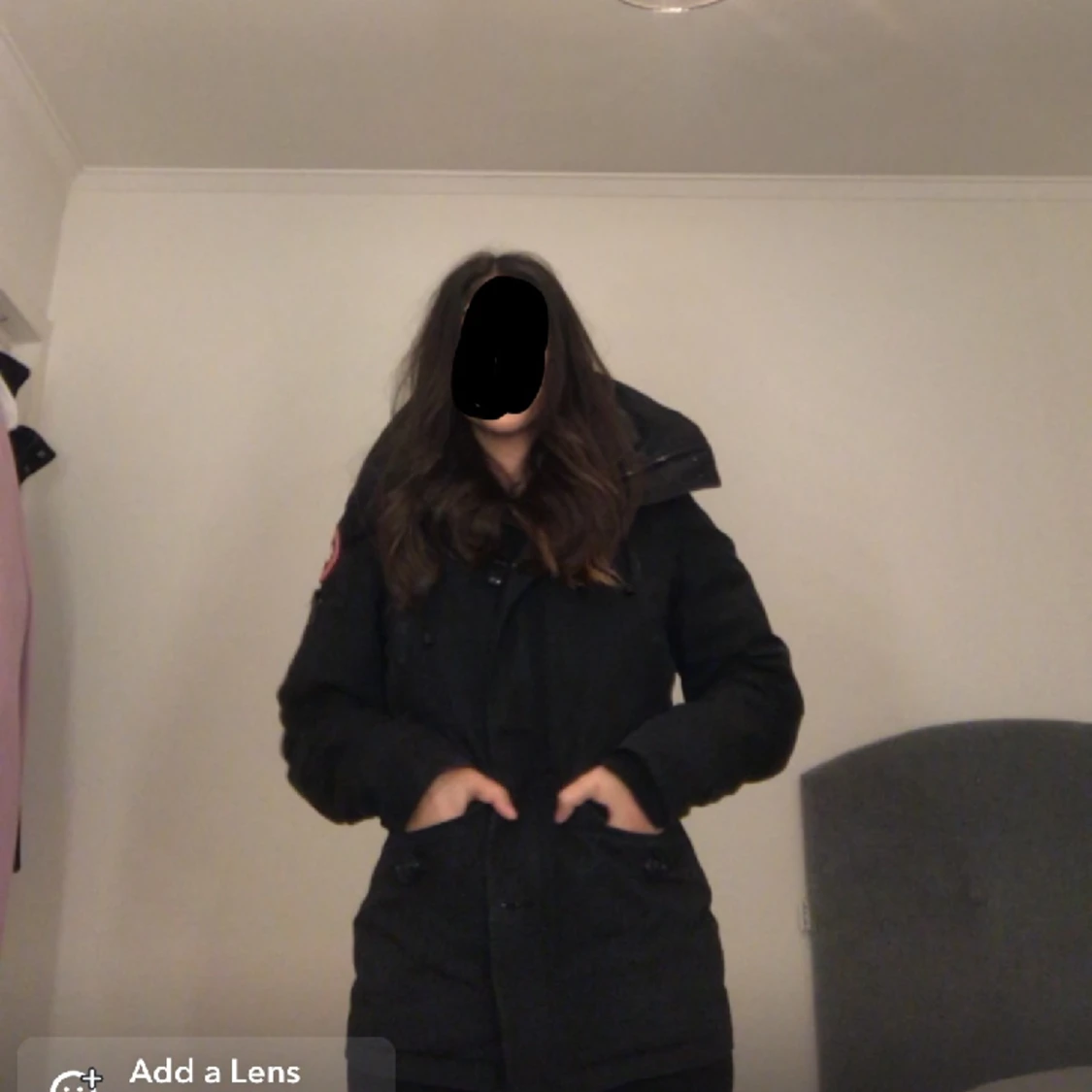 Canada goose montebello - 91