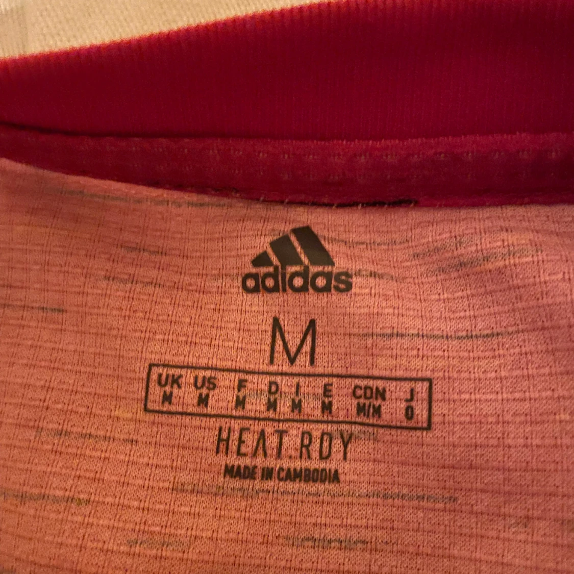 Manchester United Greenwood tröja från säsongen 20/21  - 91