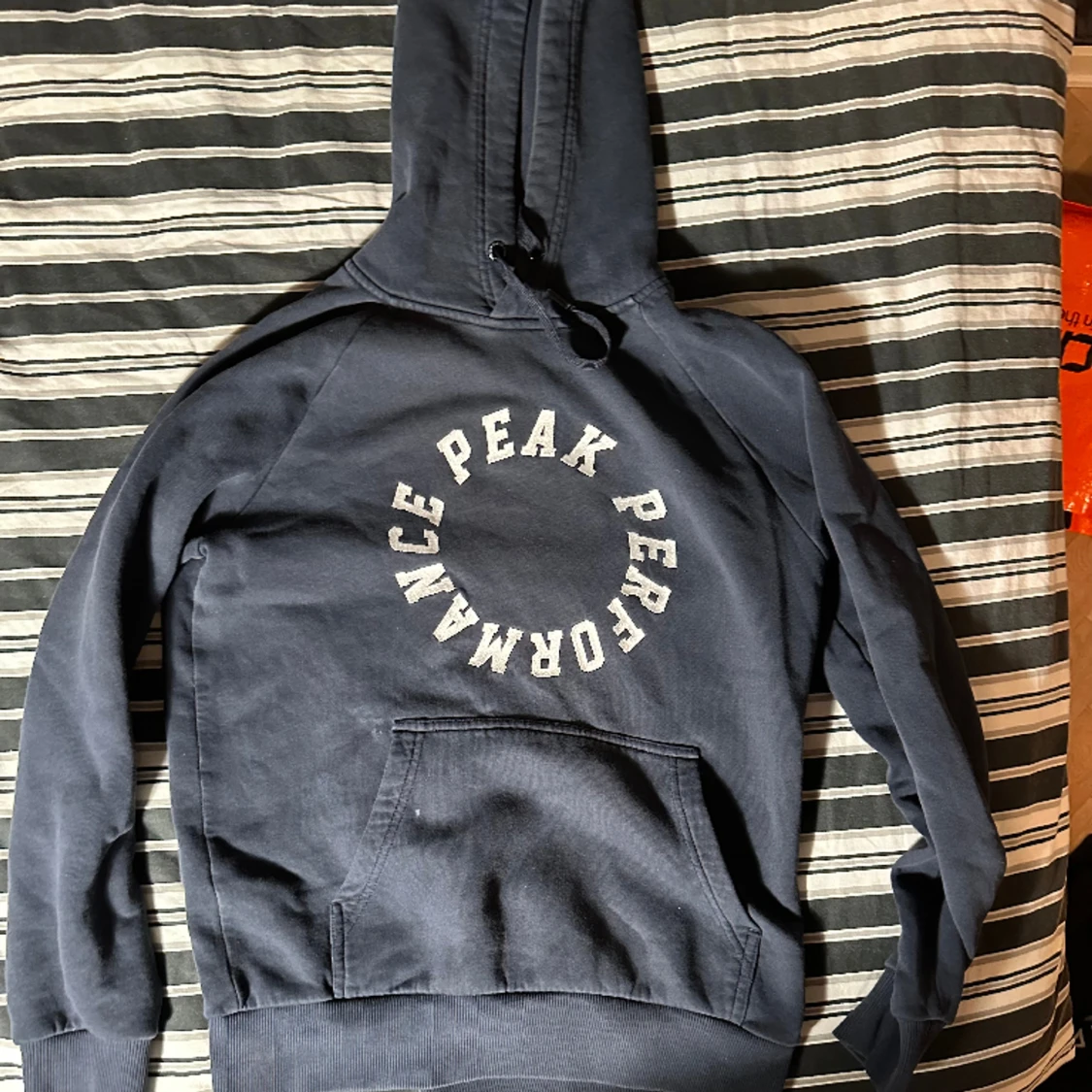 Peak Performance Hoodie