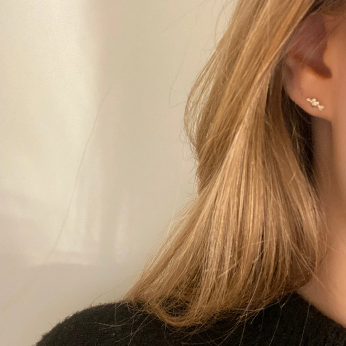 L8hasselblad örhänge - 91