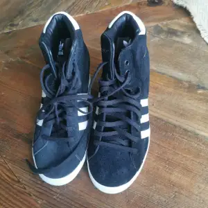 Adidas skor Storl 36 aldrig använda tyvärr för stora Katt finns i hemmet 