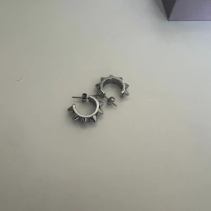 Edblad örhängen  - Har aldrig använts, säljer då de inte kommer till användning, mycket bra skick😊