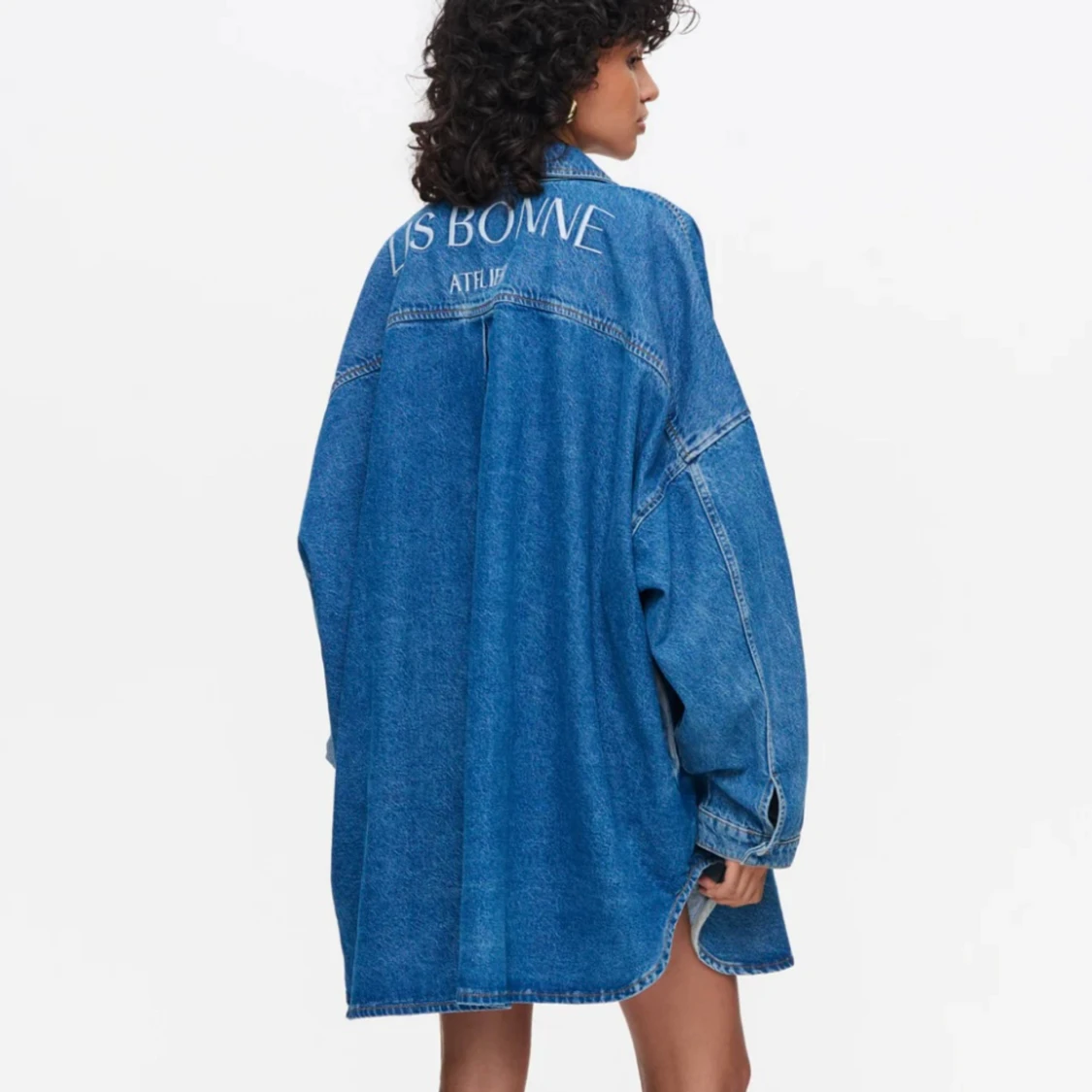 The Denim Shirt Dress